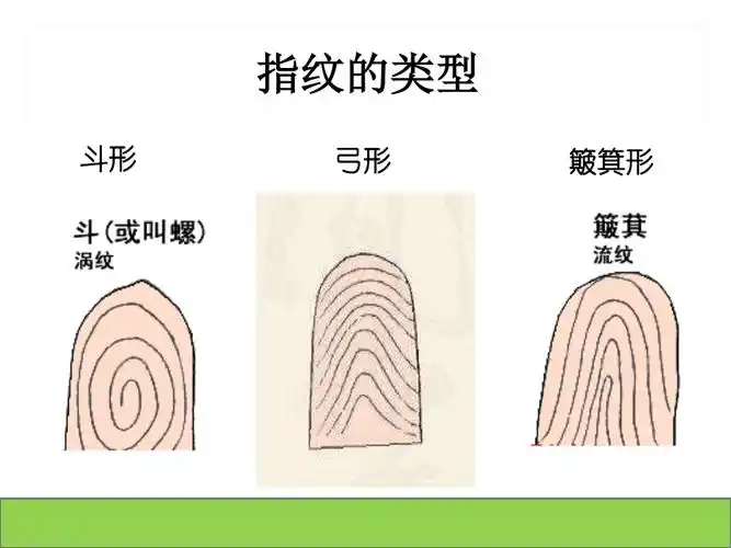 赣美版小学美术二年级上册课件第3课我的手印画14张ppt