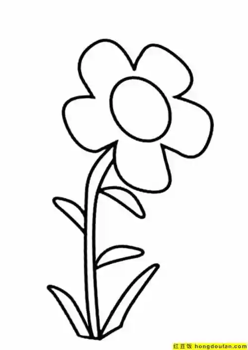 12张郁金香向日葵小雏菊可爱花朵儿童填色简笔画