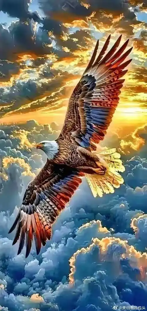 翱翔天际展翅飞,助你鹏程万里,飞黄腾达!