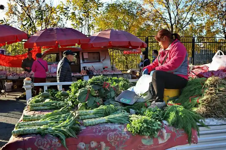 其它 沙河赶大集 写美篇早就听说北京昌平沙河镇有个大集,据说最早是