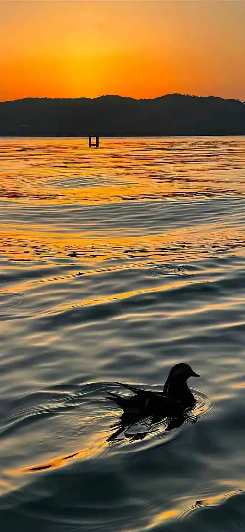 壁纸| 676767锁屏壁纸