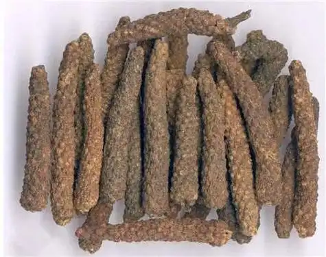 中草药百科荜茇的功效与作用温中散寒下气止痛