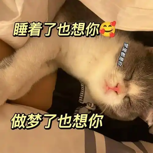 聊天搞笑表情包:一点问题没得