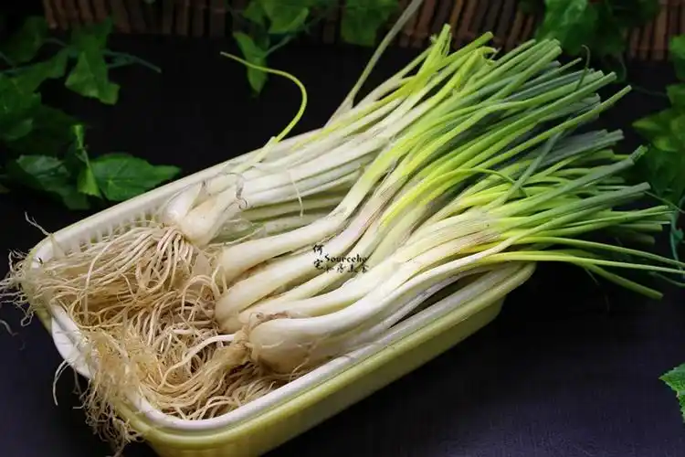 这菜再不吃,进入5月就吃不到了,味道香醇,好吃到盘子都舔干净|荞头