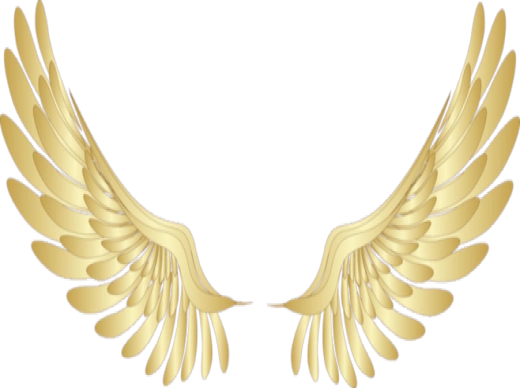 一对金色天使翅膀图