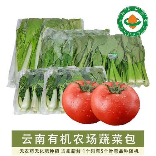 云南昆明有机农场新鲜蔬菜盲盒1个果菜5个叶菜品种随机无农药现摘