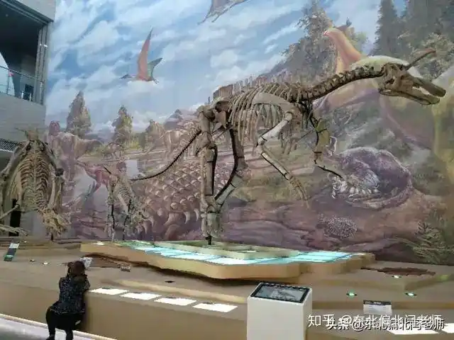 十一千米距离一亿多年岁月莱阳白垩纪恐龙博物馆行记