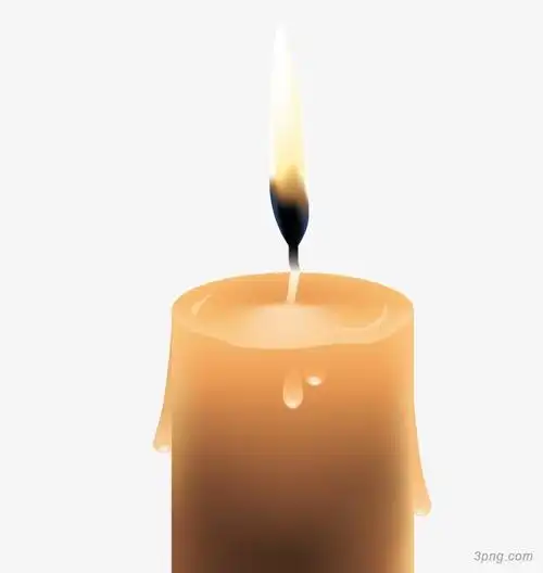 矢量图案矢量时尚矢量的矢量黑色矢量设计矢量蝴蝶矢量ppt建筑矢量蝴