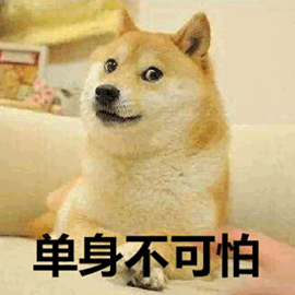 单身gif单身狗gif柴犬gif搞怪gif可爱gif
