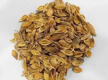 三把伞散治疗小儿流感今天聊聊银翘散l罗光亮主任推荐