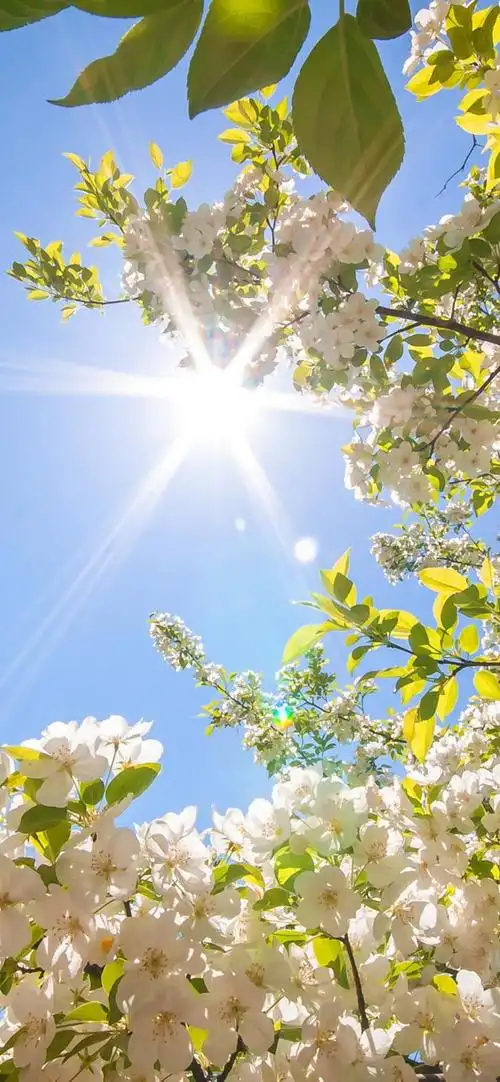 二弹】占满屏幕亲测可用~ - oneplus 7 系列 - 一加手机社区官方论坛