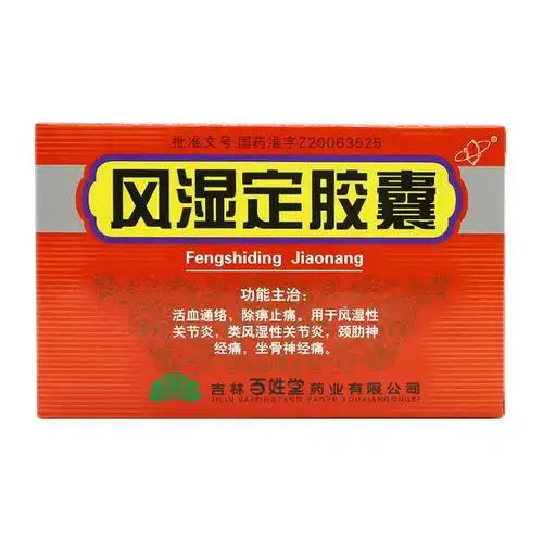 风湿定胶囊