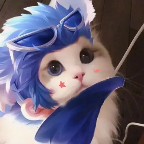 李元芳逐浪之夏78王者猫猫头