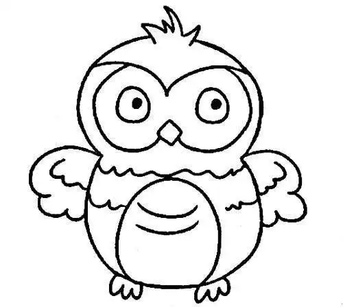 动漫猫头鹰简笔画大图