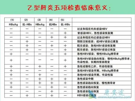 乙肝病毒是由什么组成的?乙肝五项是哪些?