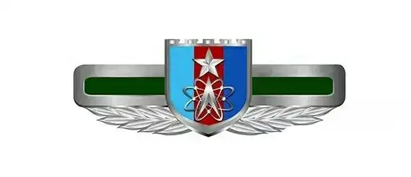 战略支援部队胸标