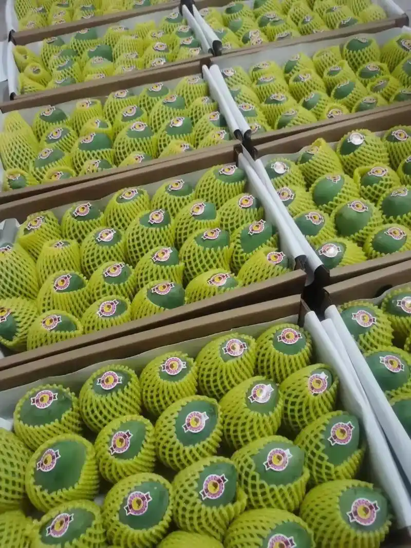 年会结束了,挣钱养家了!最好的芒果不在市场里,更不在超市,也 - 抖音