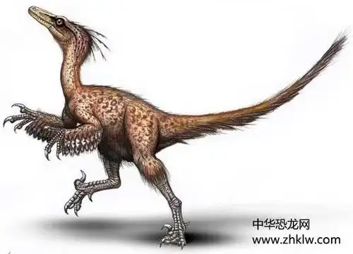伤齿龙白垩纪肉食恐龙