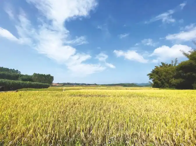 72昨日,南宁蓝天白云上线.