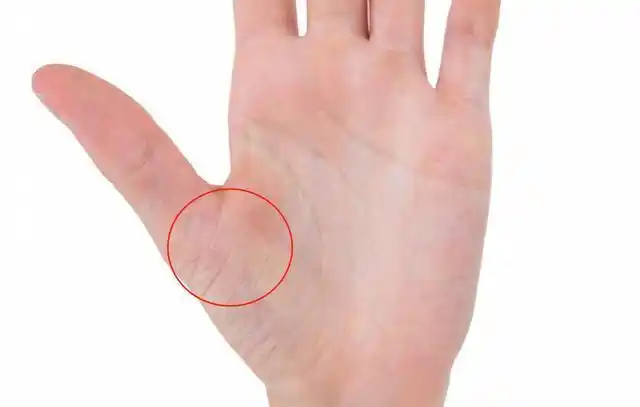 心脏好不好,看手就知道!手上出现这4种"异常",就要当心了