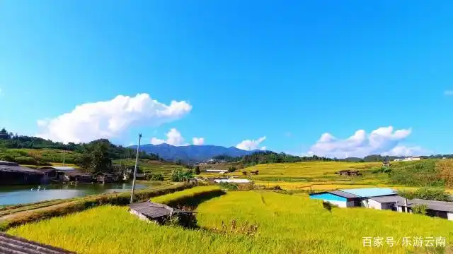 这个普通的小乡村,没想到秋天会有这样美!