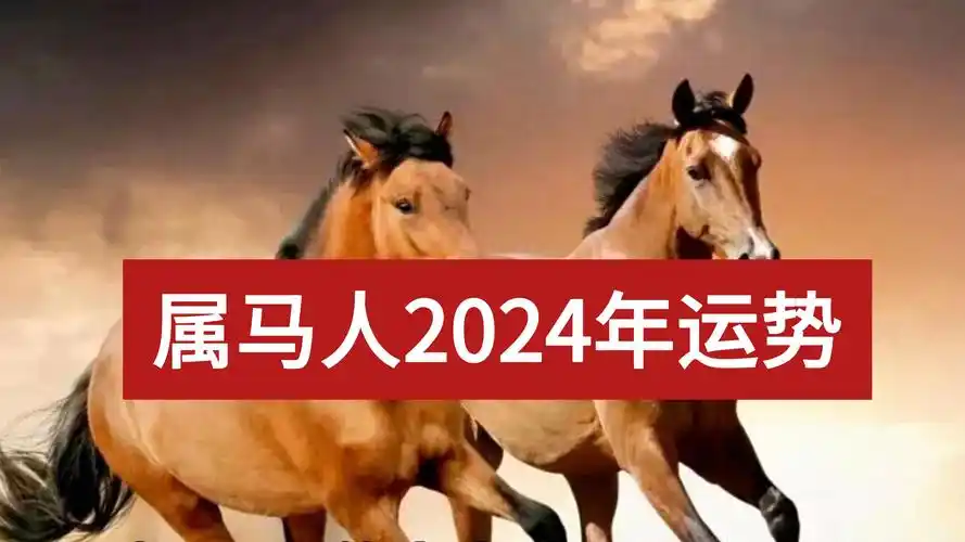 属马人2024年运势