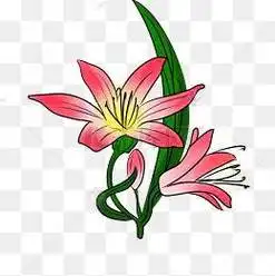 系列——映山红杜鹃花,映山红写生手绘,绘画,彩铅画家乡映山红圆珠笔