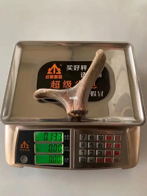 今日新货小克数东北梅花鹿整支干鹿茸