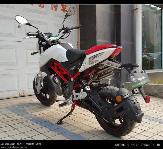 老夫看上小情人-小暴龙使用体会(不断更新) - 钱江benelli贝纳利