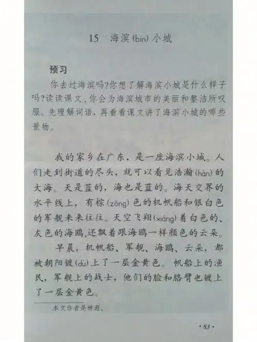 90年代小学语文第七册课文海滨小城