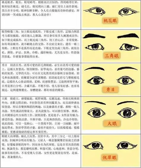 眼形怎么看面相眼形图解大全面相解析眼睛形状图解
