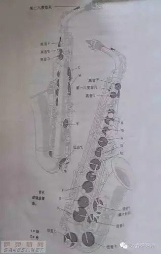 萨克斯的键位功能介绍