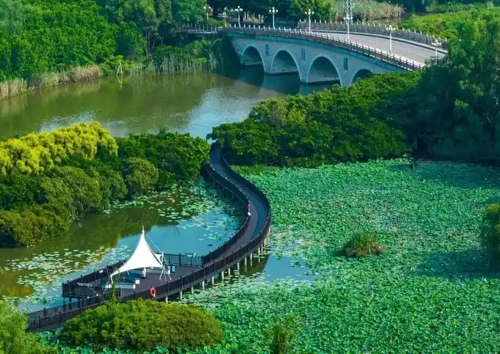 航拍南沙湿地公园.南沙湿地景区供图