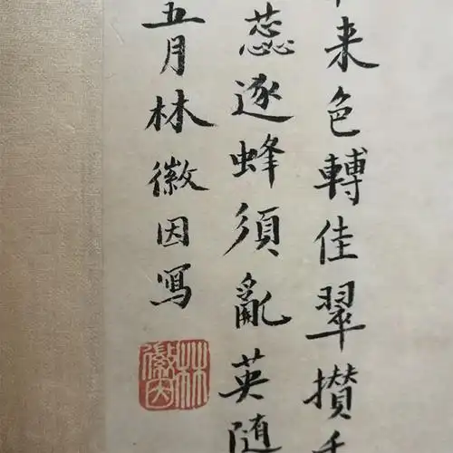 林徽因《瓶菊》民国才女