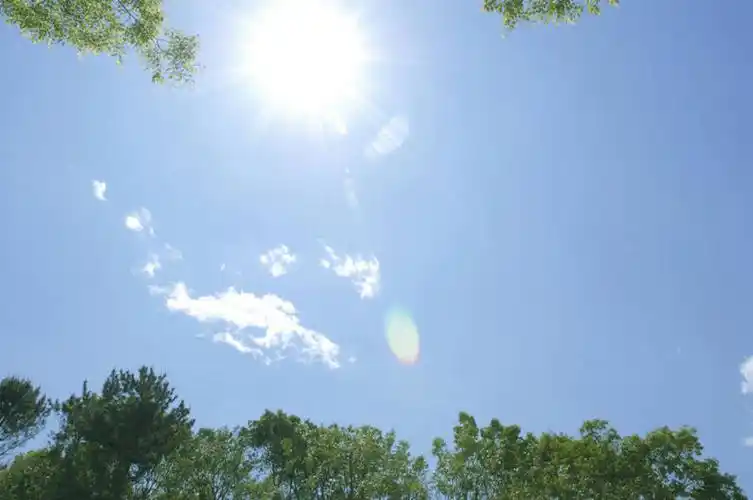 影子,景观,云,云朵,云彩,树,树木,蓝色,绿色,白云,蓝天,天空,阳光