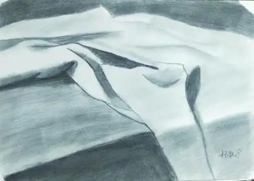 【跟我学美术】六下 6.15总校区 琳琳学院素描《布纹》