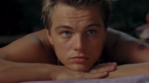 为了庆祝小李子得奖,我制作了他的电影作品年表.