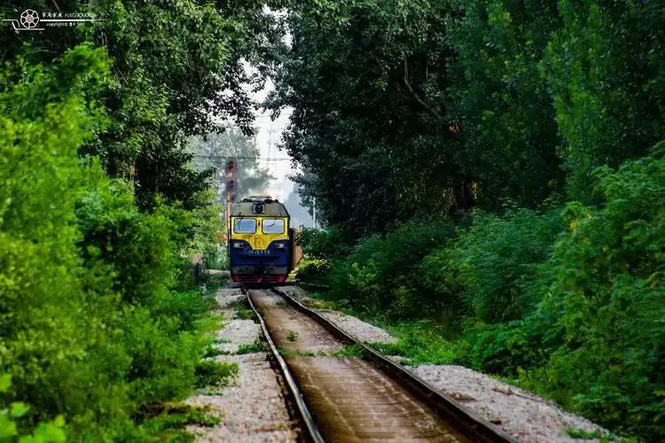 中国铁路的博大,不仅因为展现国家的发展,不仅因为缩短了离愁的距离