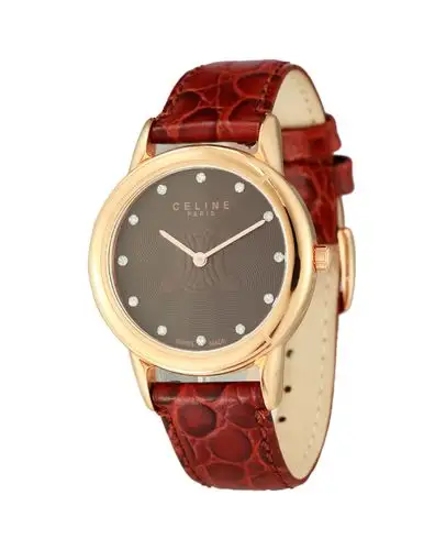 芬迪 女款啡/金/红棕色皮带手表