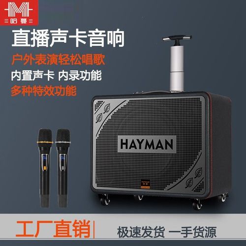 哈蔓x8x6户外音响广场舞大功率乐器蓝牙音箱五喇叭重低音家用k歌