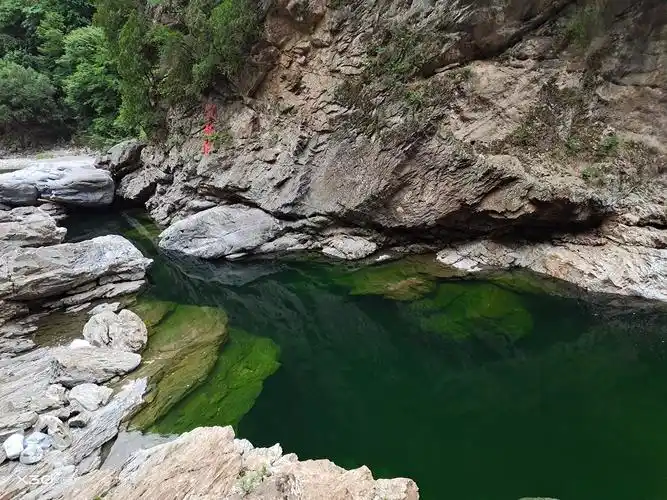 黑河森林公园掠影