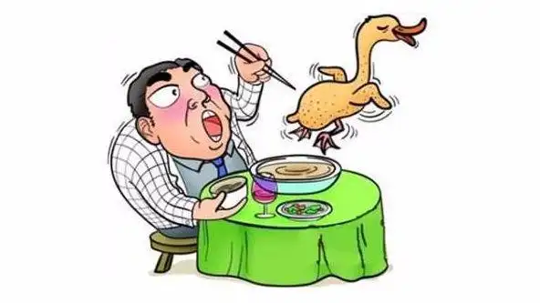 煮熟的鸭子飞走了