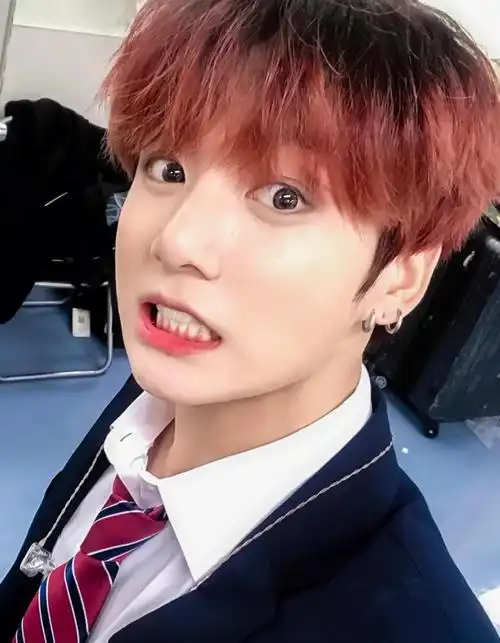 田柾国自拍合集