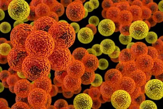 球菌,插画,细菌