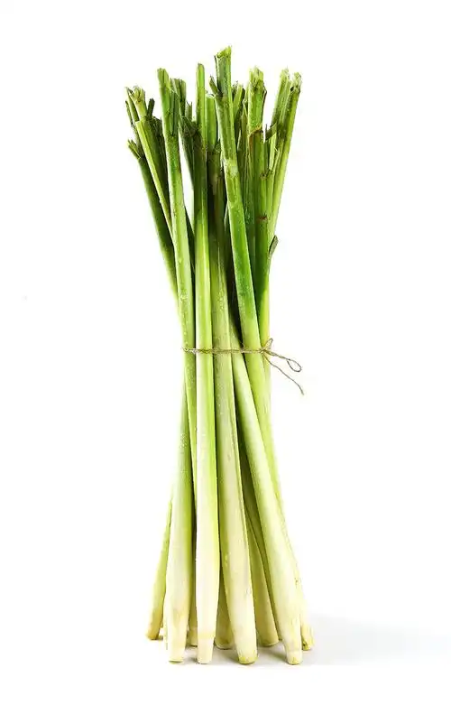 新鲜香茅草香茅9斤柠檬草奶茶店调料 2500g【图片 价格 品牌 报价】