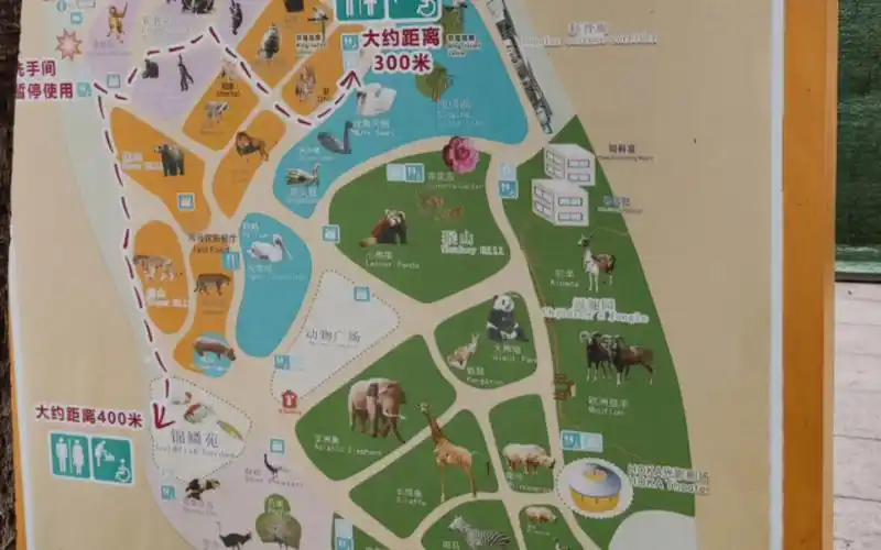 广州动物园半日游