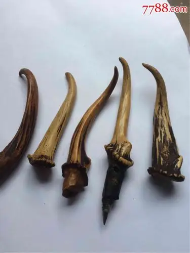 清代老麂子角五个