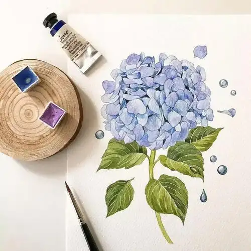 韩国画师 yirang kim 水彩 满天星 花 手账素材