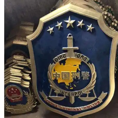 海南儋州市制作刑警队警徽样式