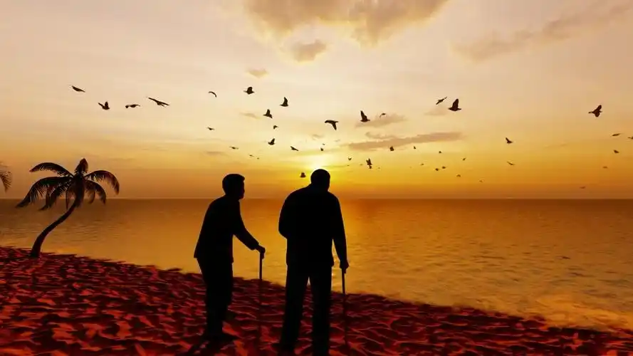 沙滩上看夕阳的老年夫妇背影正版高清视频素材下载-视觉中国vcg.com